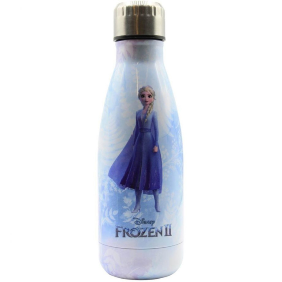 PURO DNYWB500FROZSW1ICE borraccia Uso quotidiano 500 ml Acciaio inossidabile  Multicolore